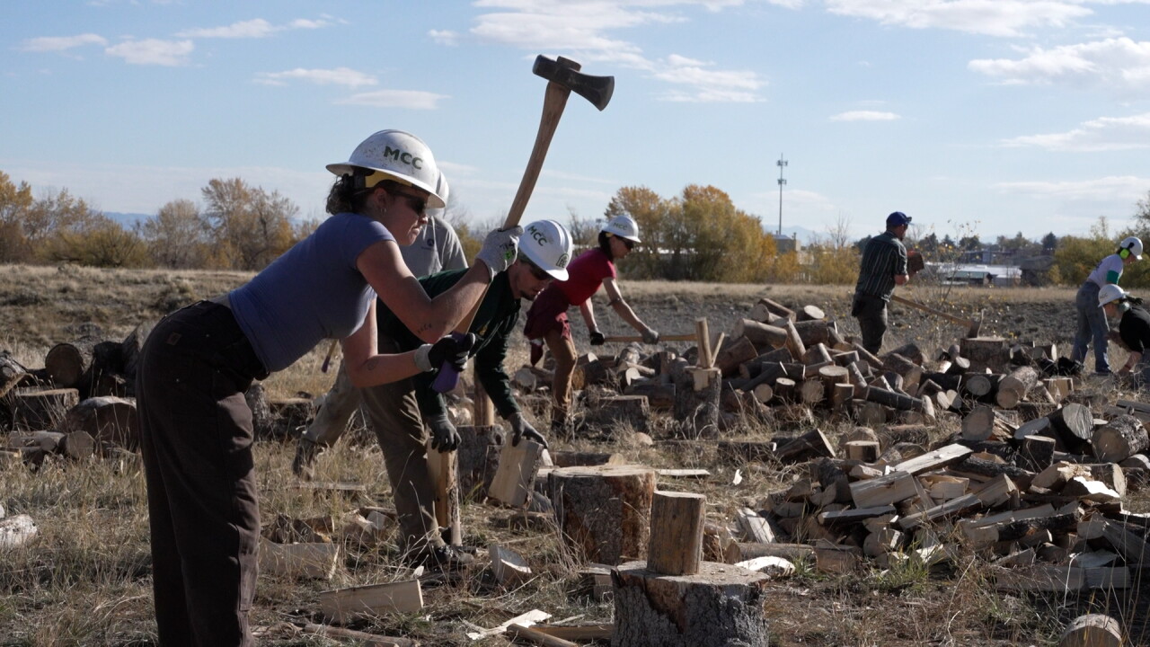 Group chopping wood