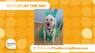 It's the Picture of the Day for October 6th, 2025!