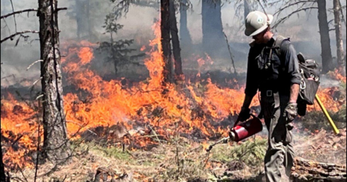 Containment at Niarada Fire grows to 81% on Tuesday - Vimarsana News