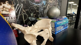 physical therapists