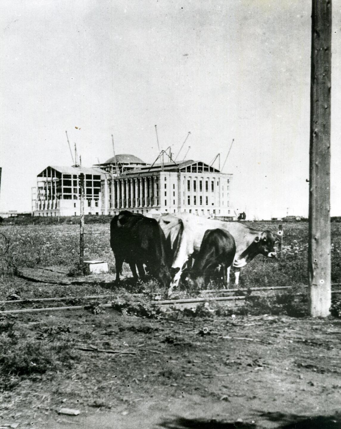 State Capitol Construction_1.jpg