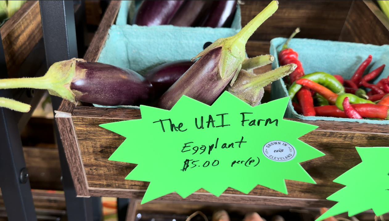 Food Access