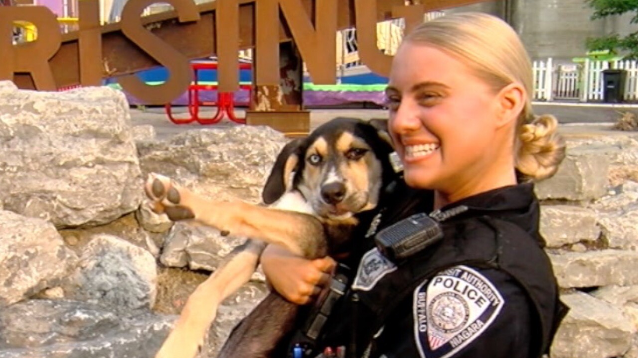 RED SOCK CLOSE UP.jpg