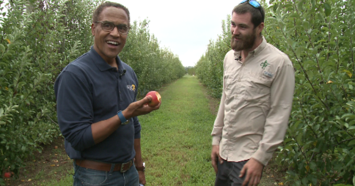 Fresh, crisp apple picking in Virginia Beach at Cullipher Farm - Vimarsana News