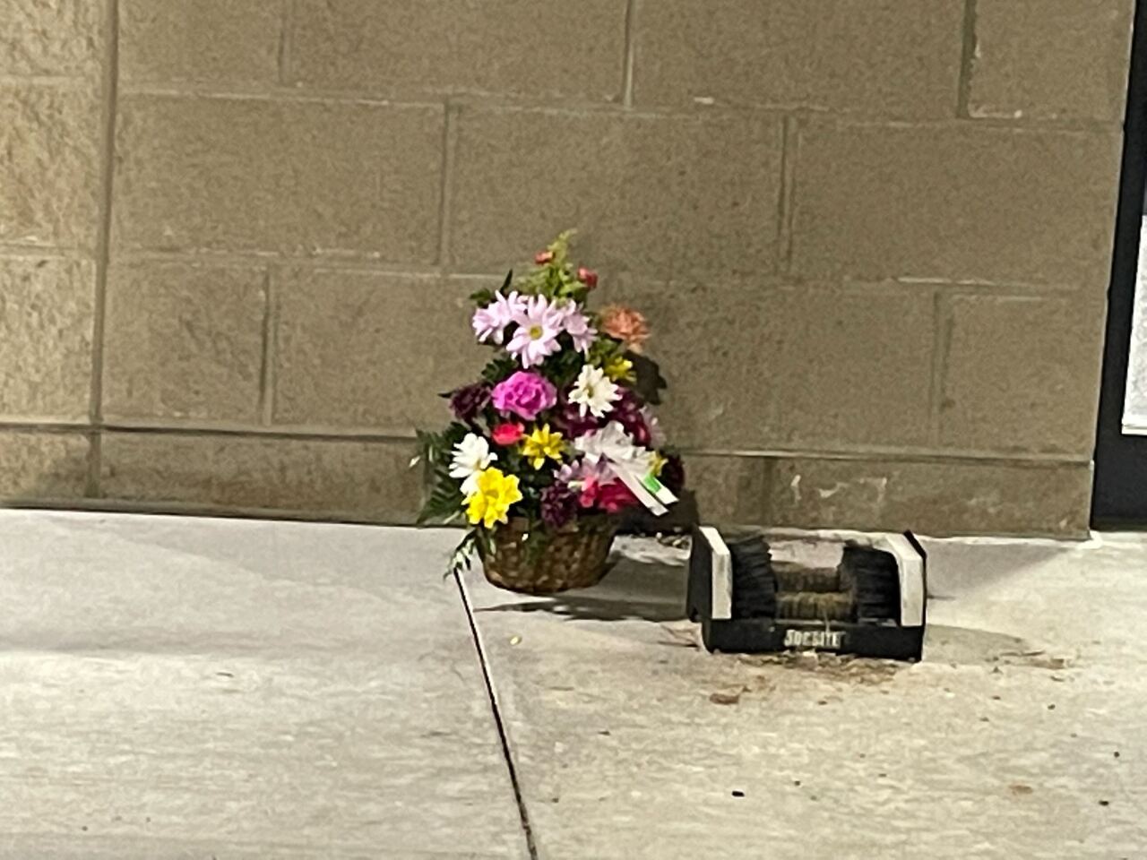 Image from iOS (455).jpg