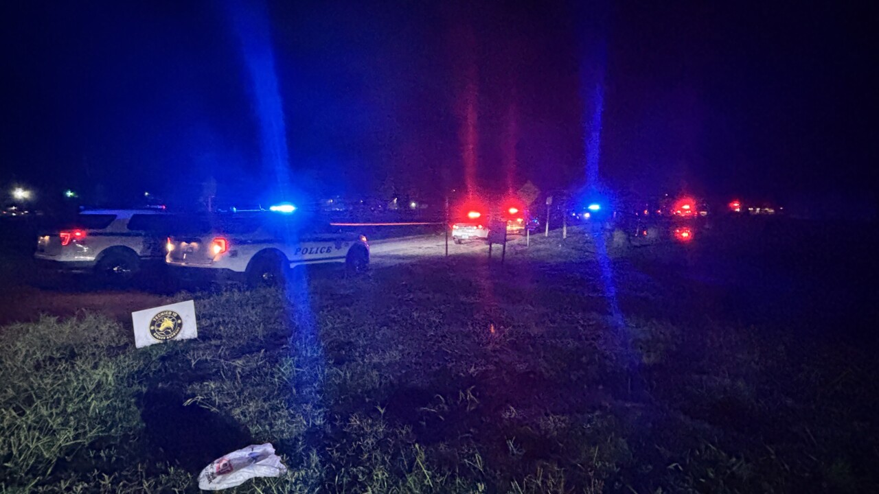 Shooting at Hicks Park