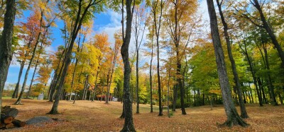 Fayetteville Fall Colors
