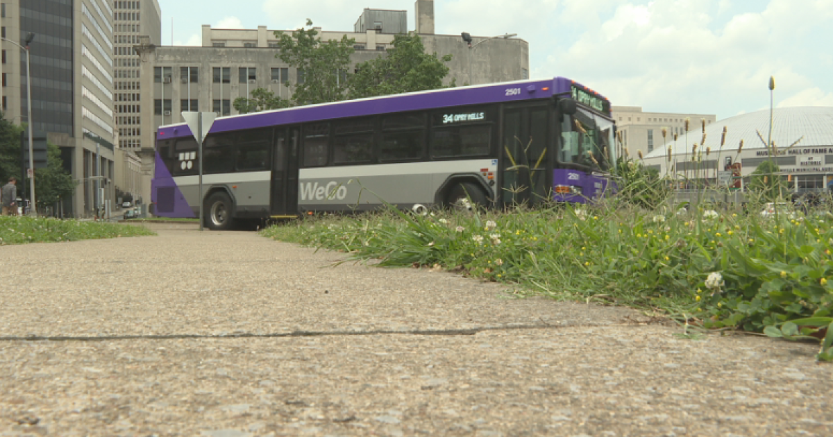 Aktivisten in Nashville fordern kostenlose Busfahrten trotz eingefrorener ...