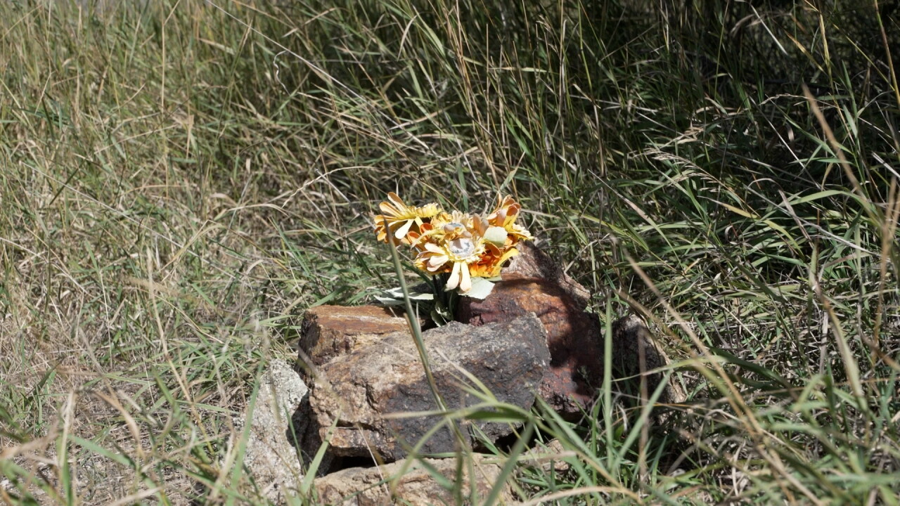 Roadside Grave
