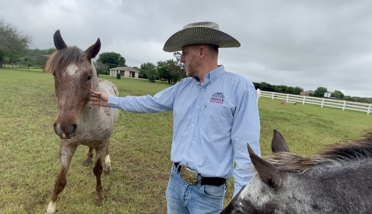 Screen Shot 2021-06-02 at 10.37.08 AM.png