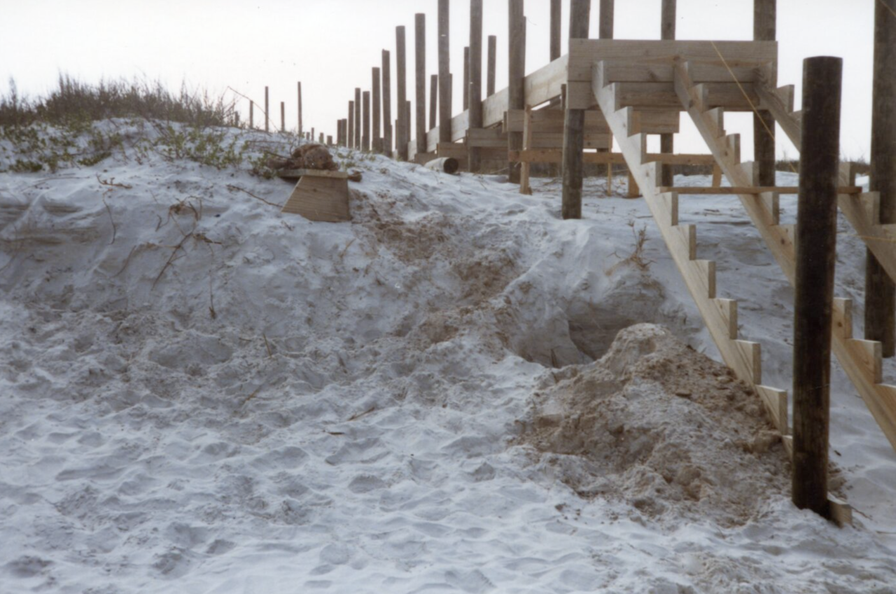 Human remains dug up decades ago on Florida beach identified as Maryland woman