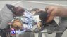 Ogden dogs euthanized after ingesting chemical