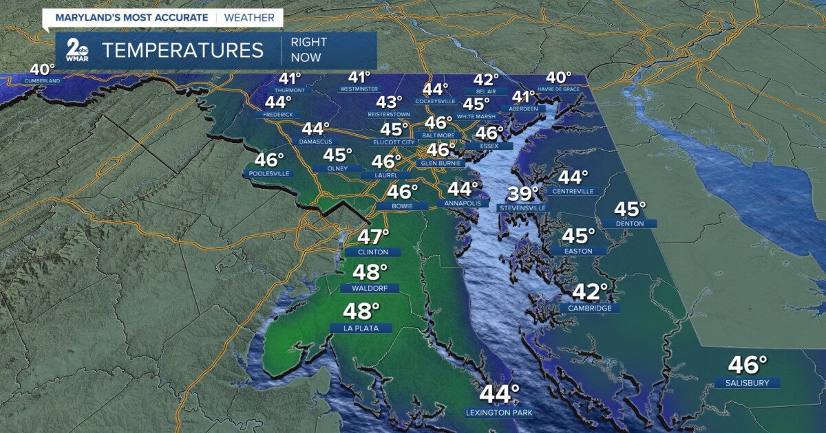 Milder temperatures this week