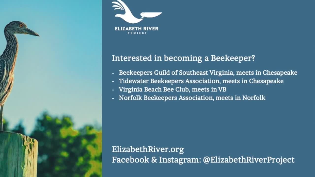 Some Local Beekeeping Organizations