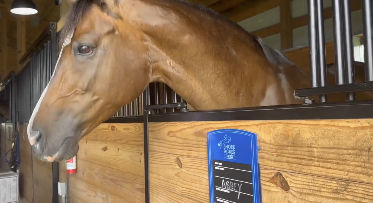 14-year-old Naples girl fills need for better Equestrian riding gear