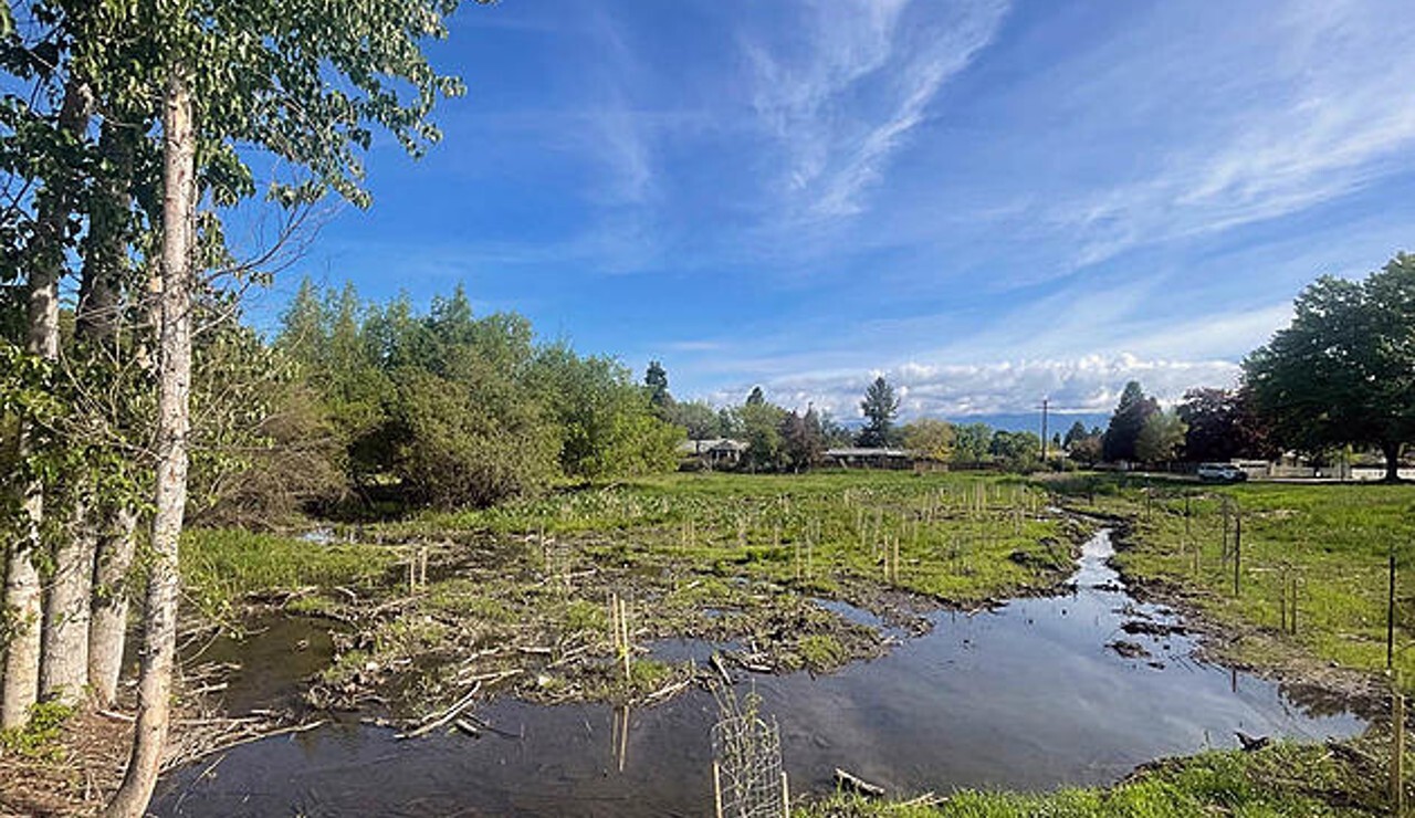 Pattee Creek Water