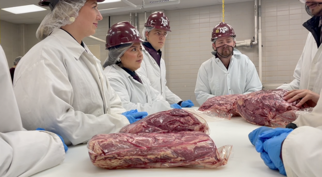 Texas A&M Meat Judging Team adds another national title to historic program