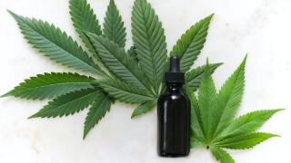 hemp.jfif
