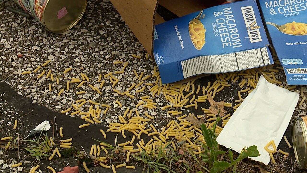 old brooklyn dumping 4.jpg