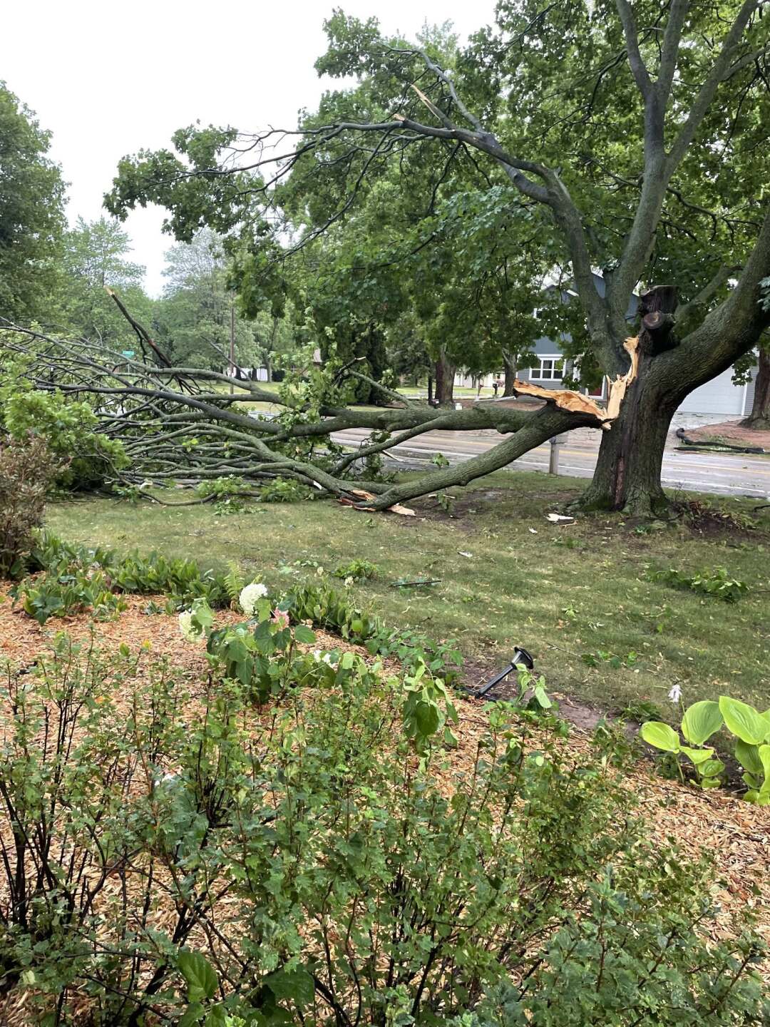 Bonnie Hagenow APPLETON storm