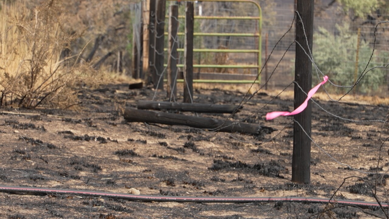 Damaged Fence