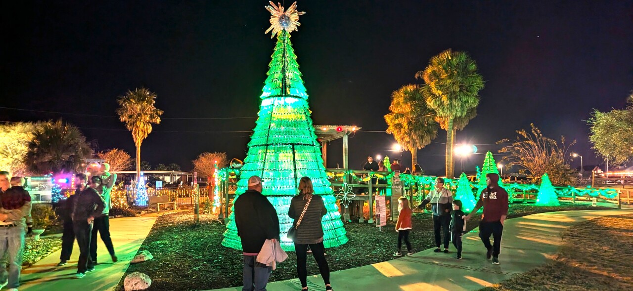 Bottle Tree,, People.jpg