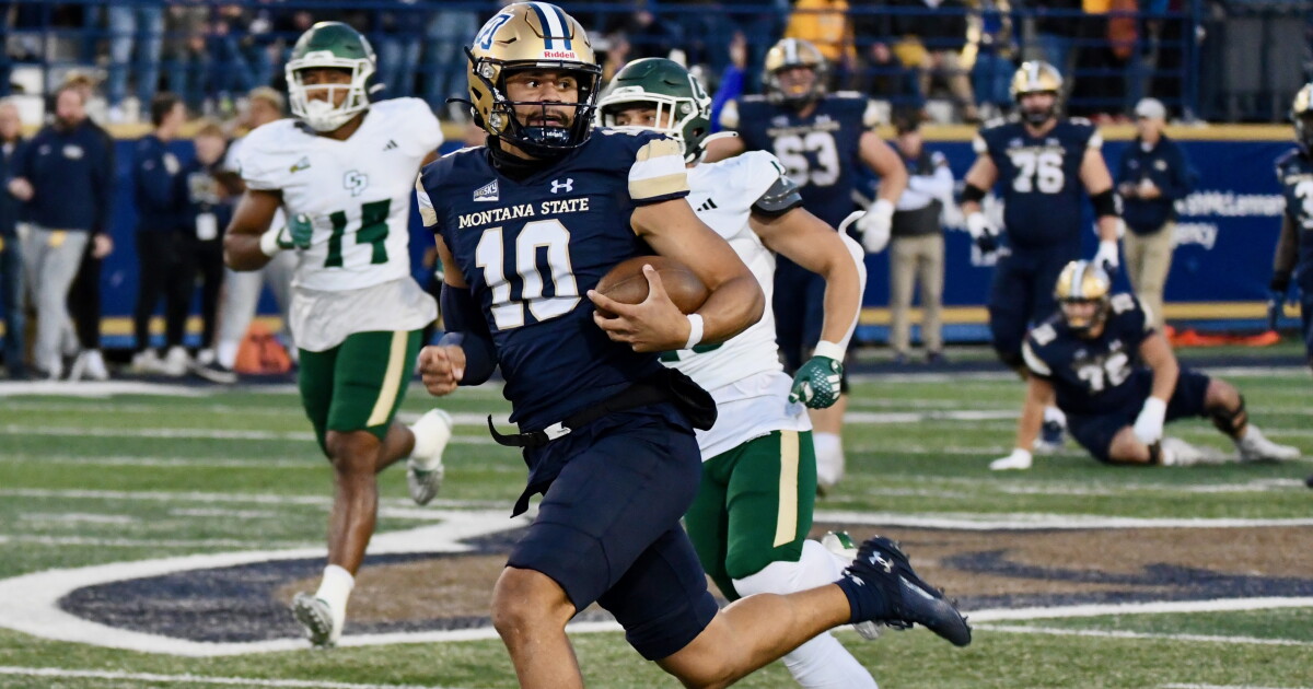 Ex-Montana State QB Sean Chambers gets NFL rookie minicamp shot with Carolina - Vimarsana News
