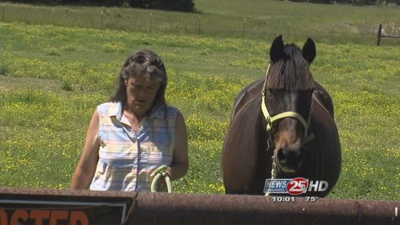 Limestone Co. residents, officials oppose to Texas high-speed rail project