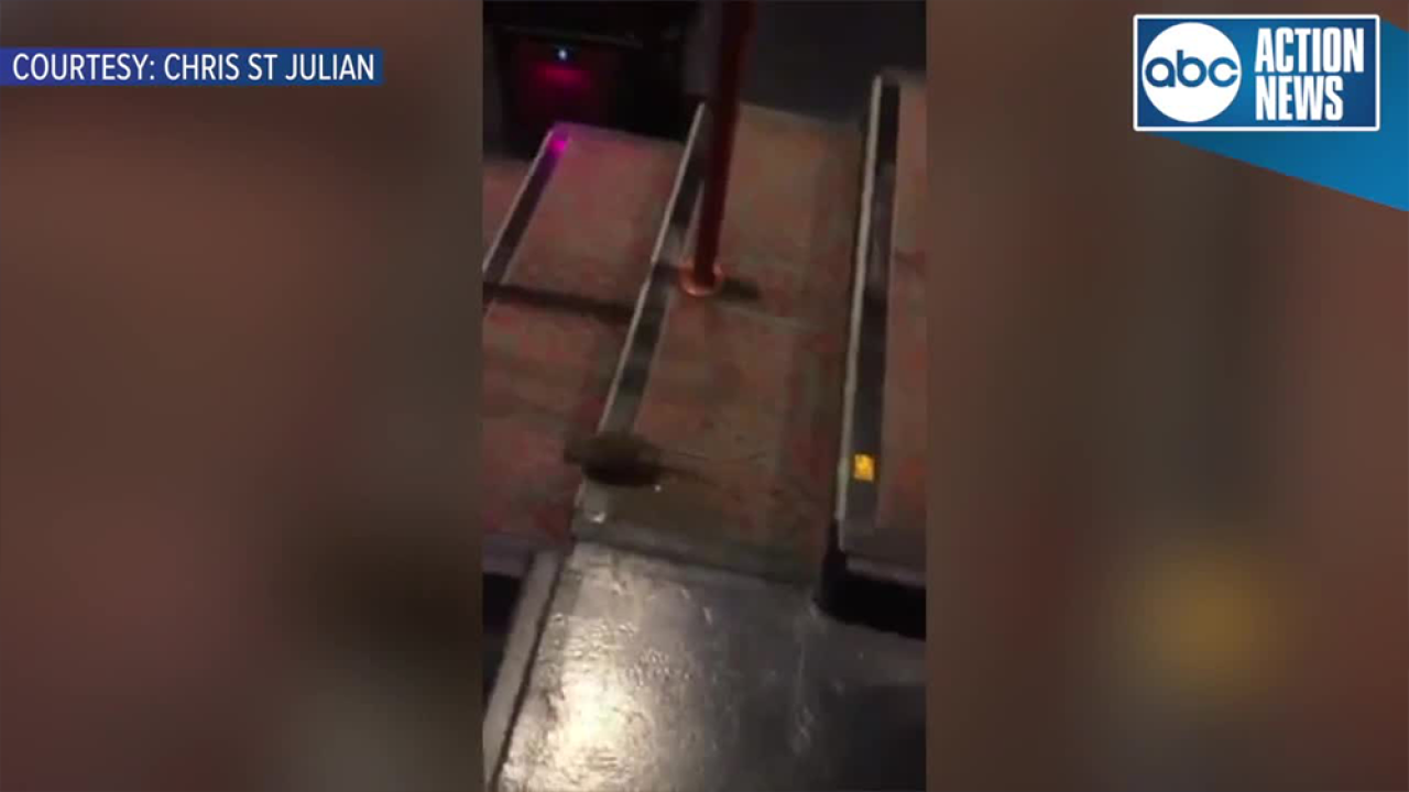 Video shows rat crawling around AMC Sundial 20 movie theater in St. Petersburg
