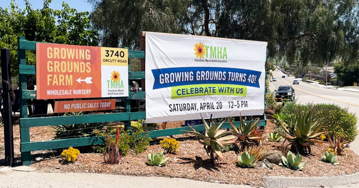 Transitions-Mental Health celebrates Growing Ground's 40th anniversary - Vimarsana News