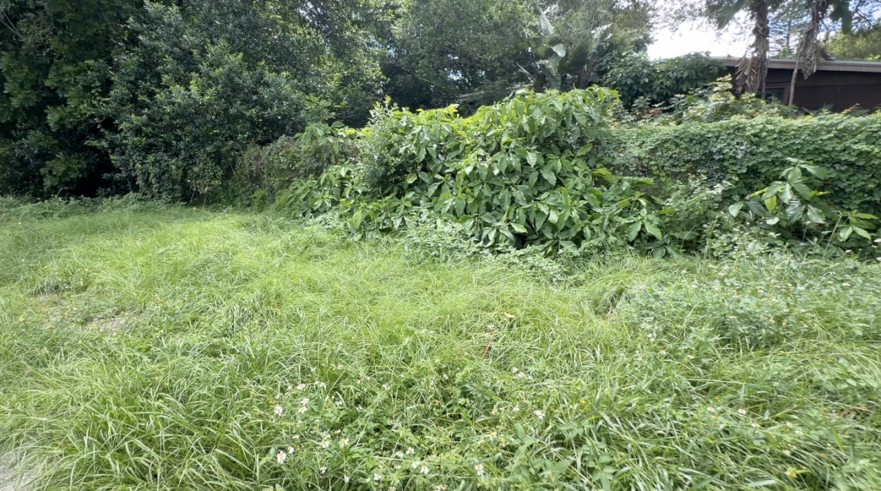 Mosquitoes can breed in the smallest amount of water