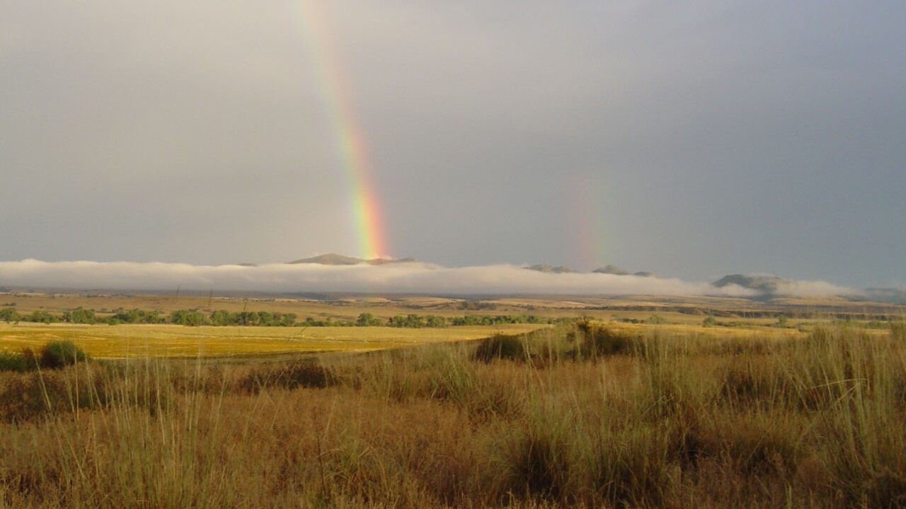 Arizona state parks waive entry fees for mlk day Arizona State Parks waive entry fees for MLK Day