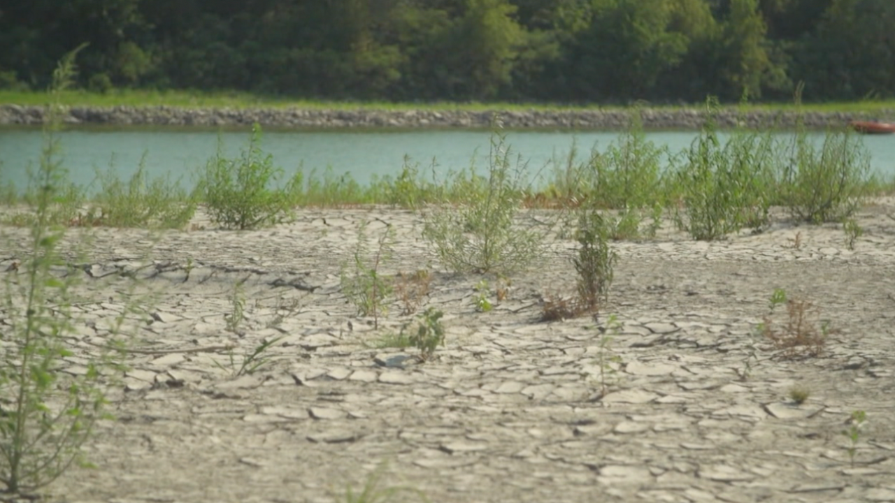 Heavy rainfall, symptom of climate change in Florida