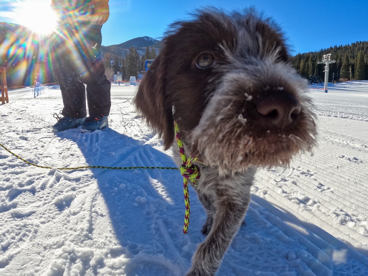 Photo Mar 23, 8 41 42 AM.jpg