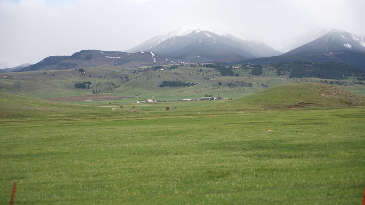 Melville woman reacts to arrest of Montana Guardsmen in antler theft