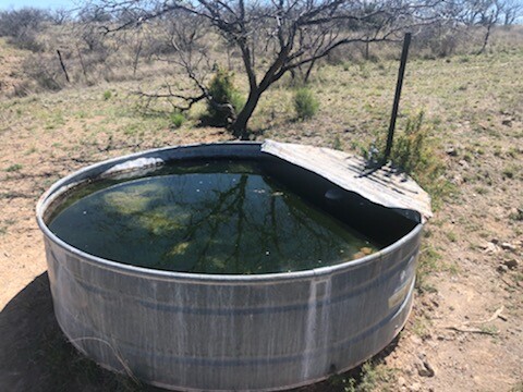 water.jpg