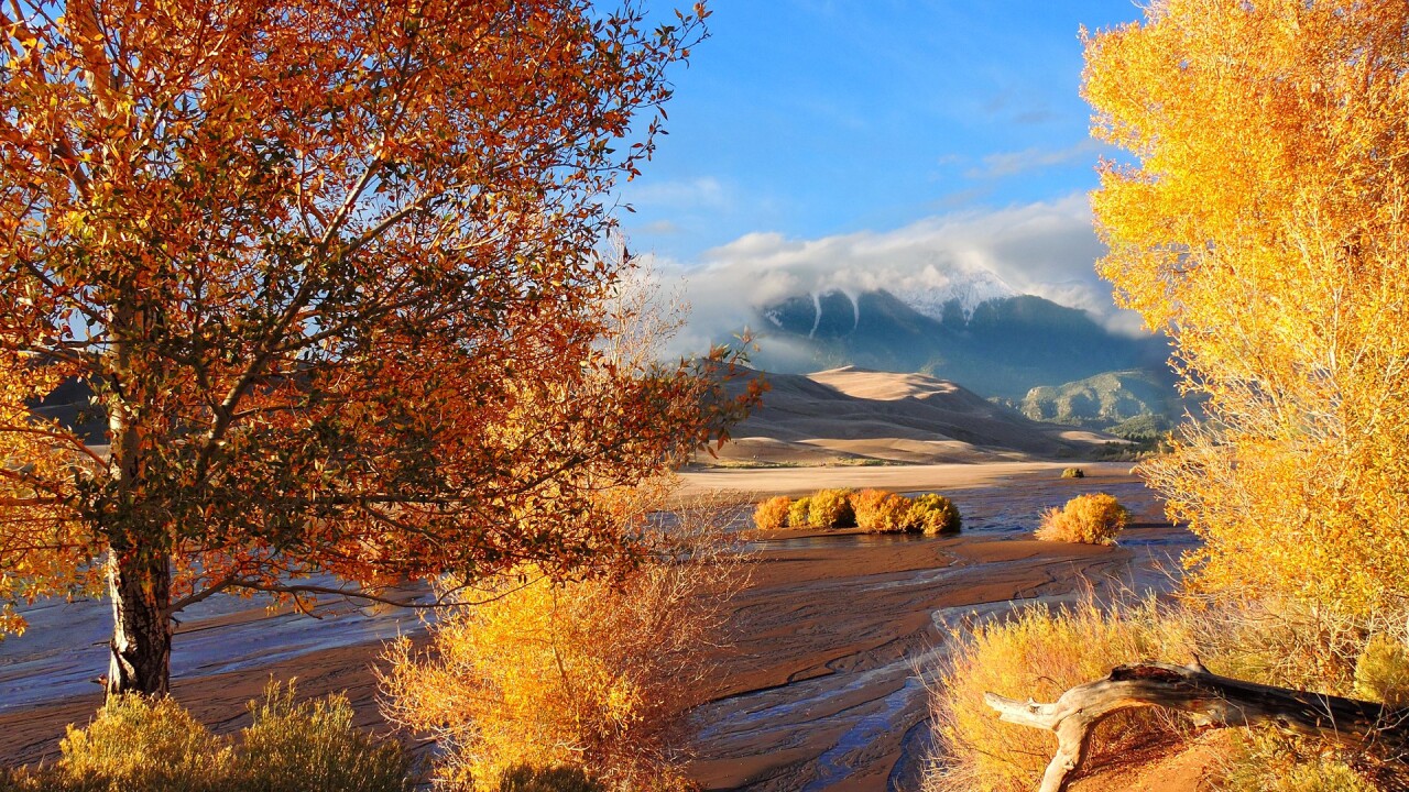 Great Sand Dunes National Park and Preserve in the Fall 9.jpg