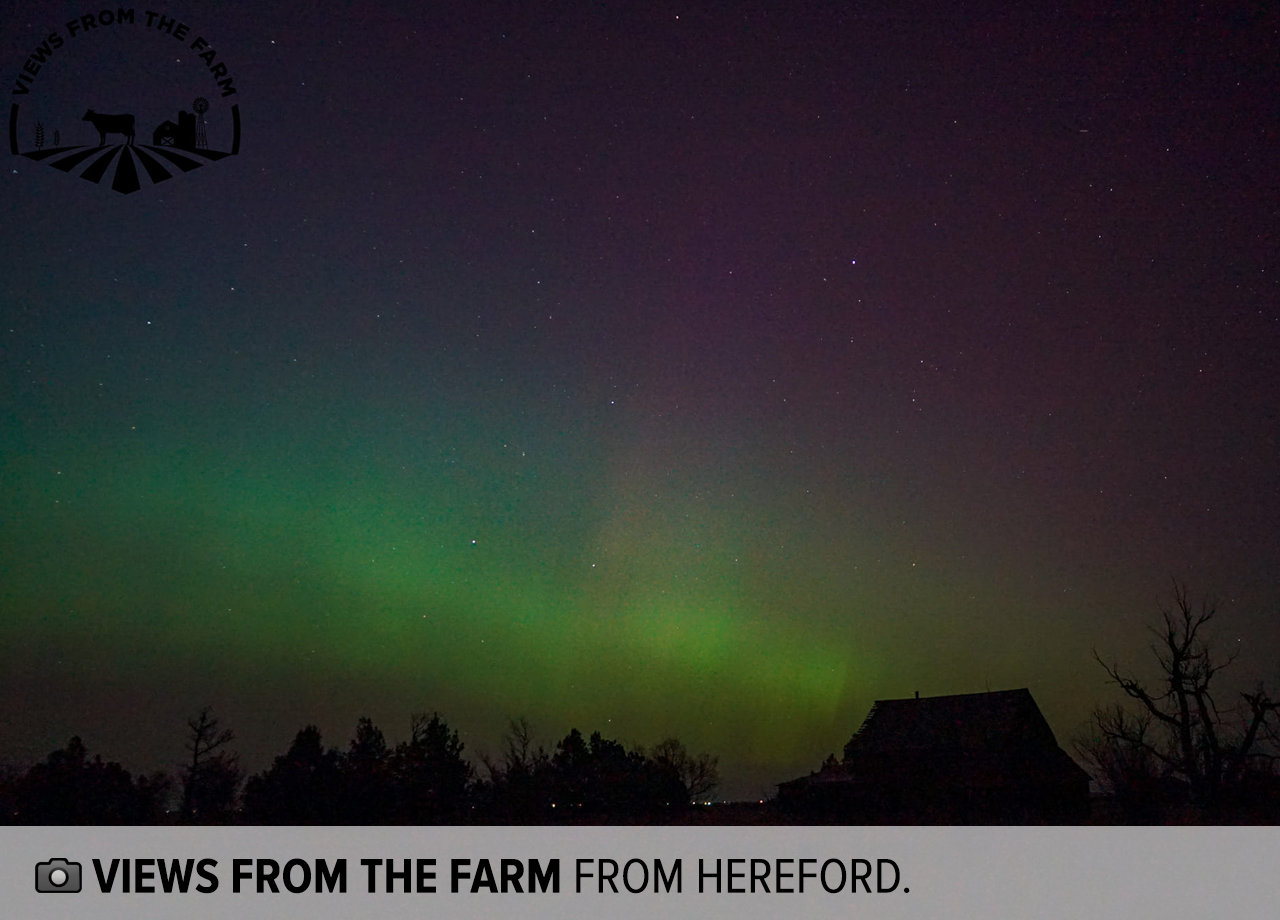 views from the farm from hereford.png