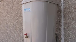 RainBarrel.jpg
