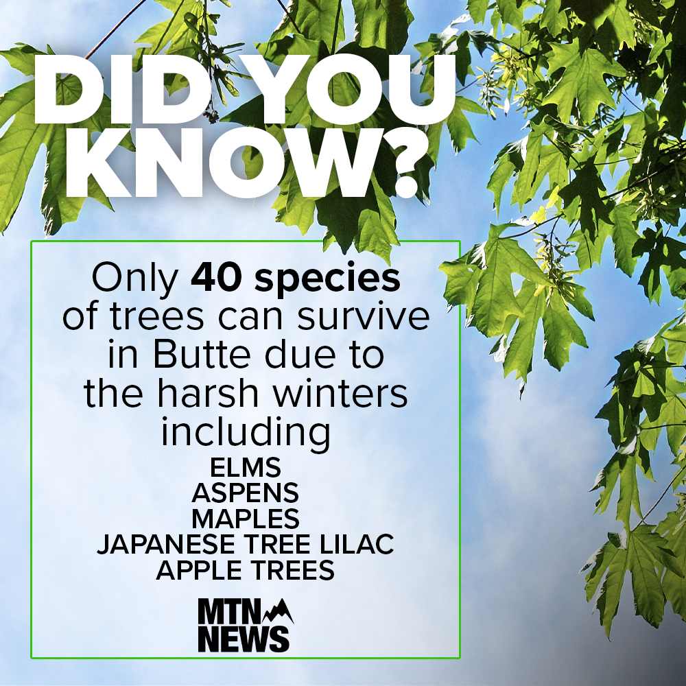 MicrosoftTeams-image (4).png