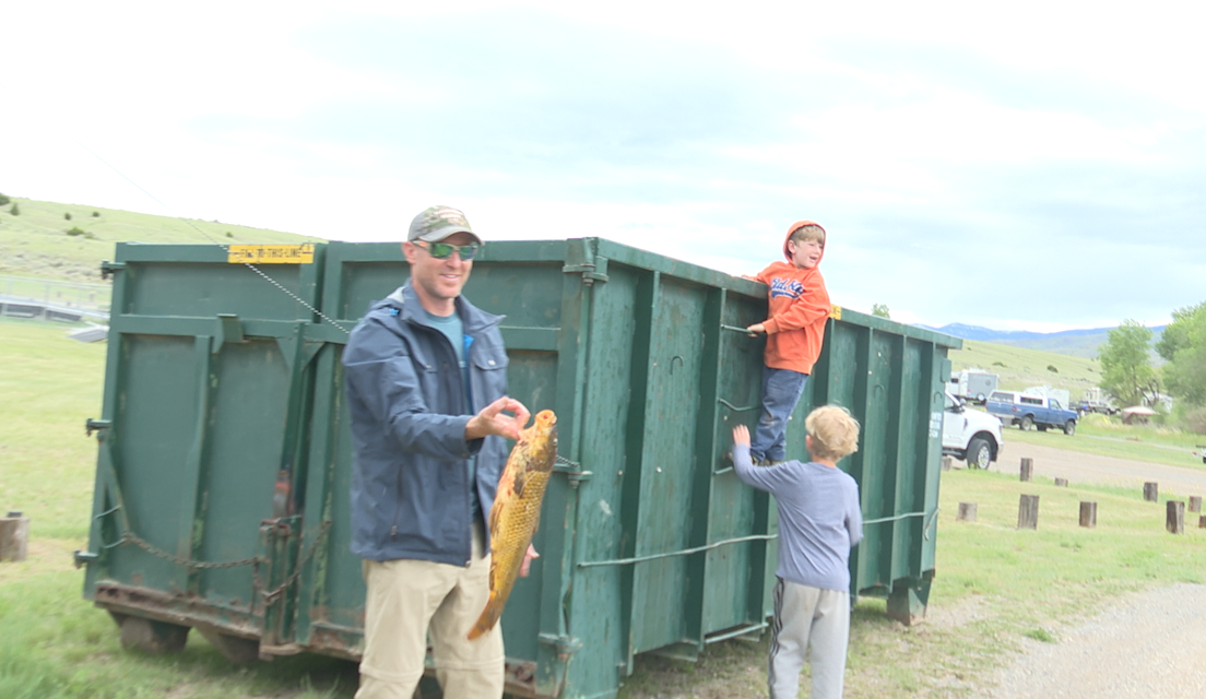 Bowfishing invasive carp: Sport that preserves native species