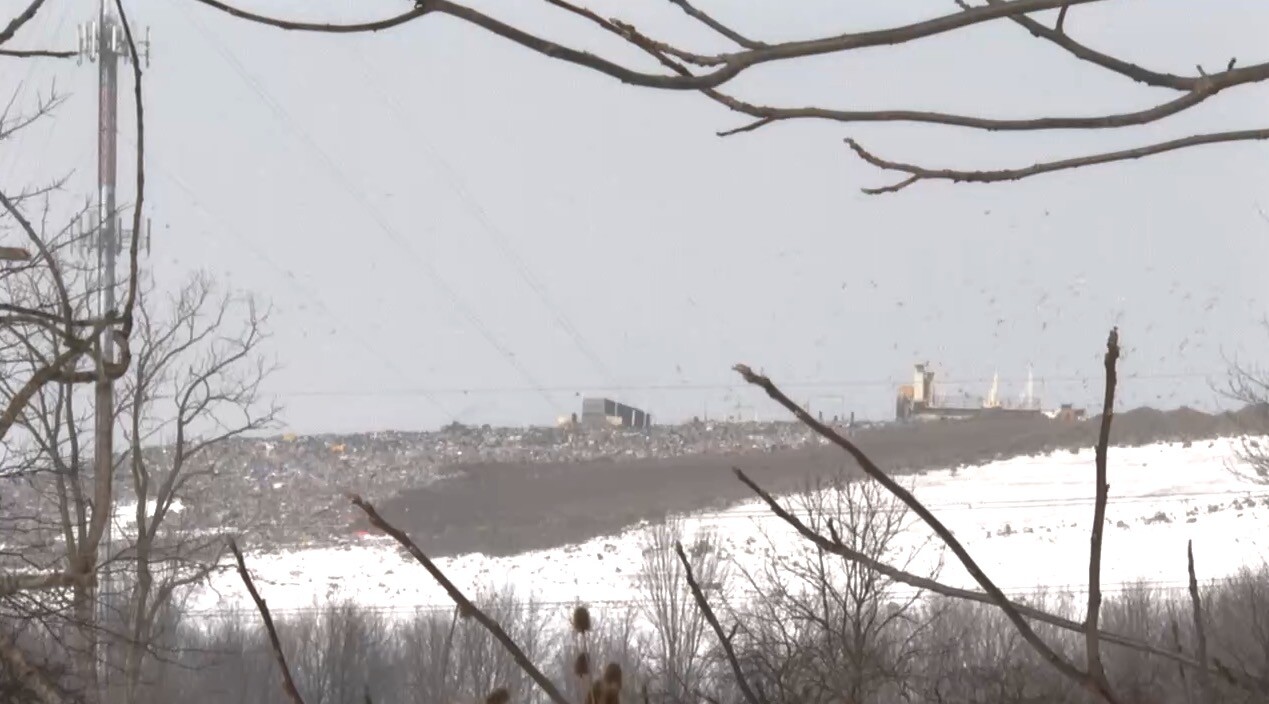 Screenshot 2026-01-27 at 5.50.30 PM.jpg