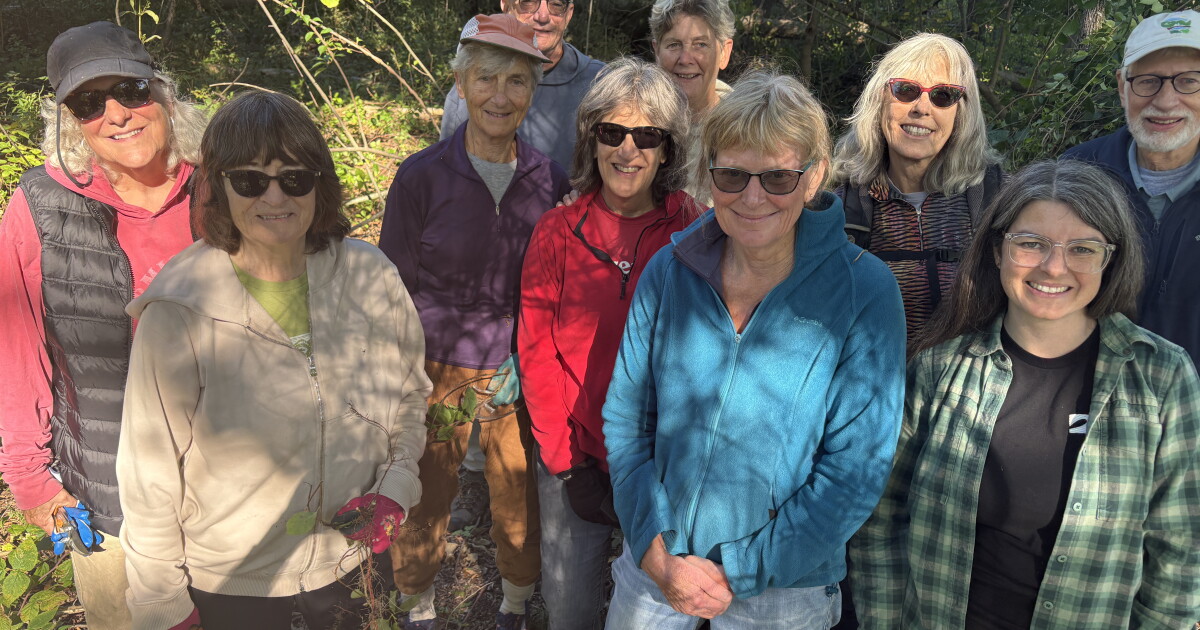 Shorewood Nature Preserve restoration project aims to protect Lake Michigan shoreline