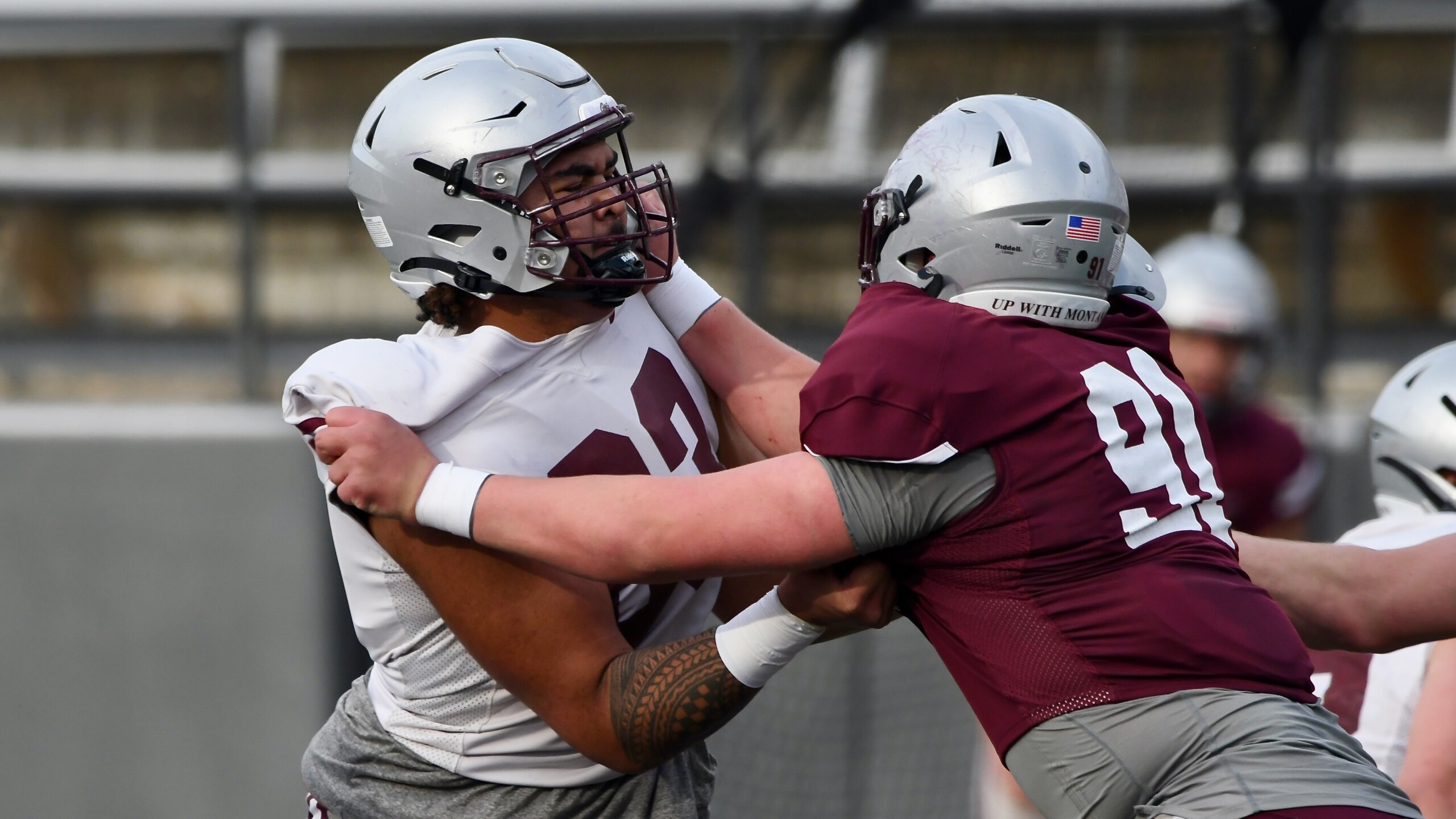 Montana Grizzlies spring football game