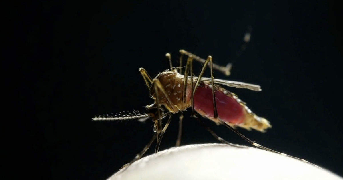 First human case of West Nile Virus in Michigan this year confirmed in Kent County neighbor
