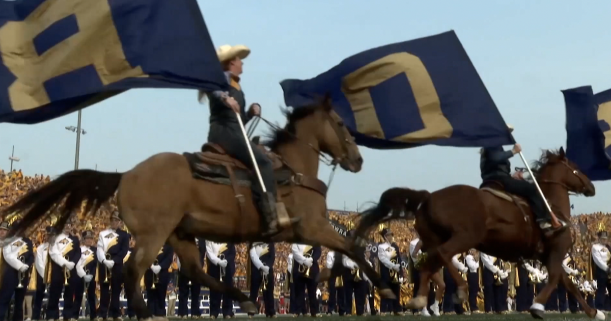 MSU rodeo team prepares for biggest runout of the season at Super Brawl
