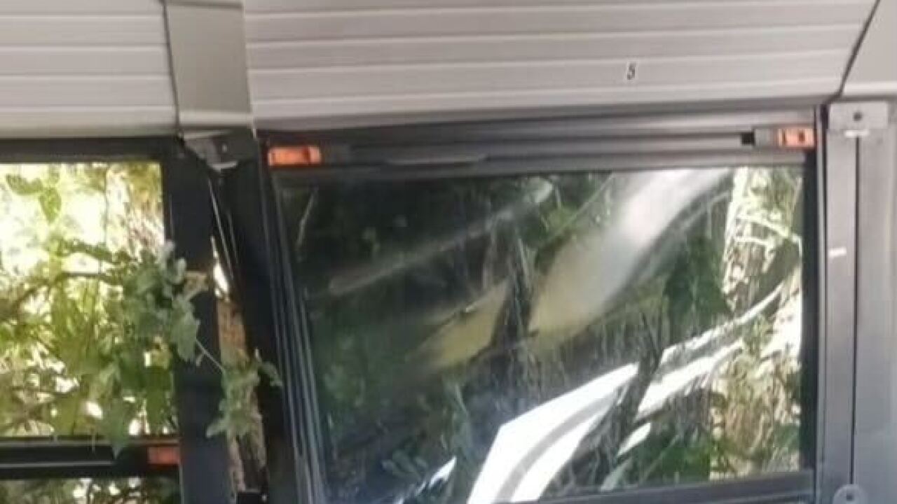 School bus crashes
