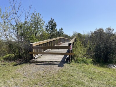 WETLAND FOOTBRIDGE