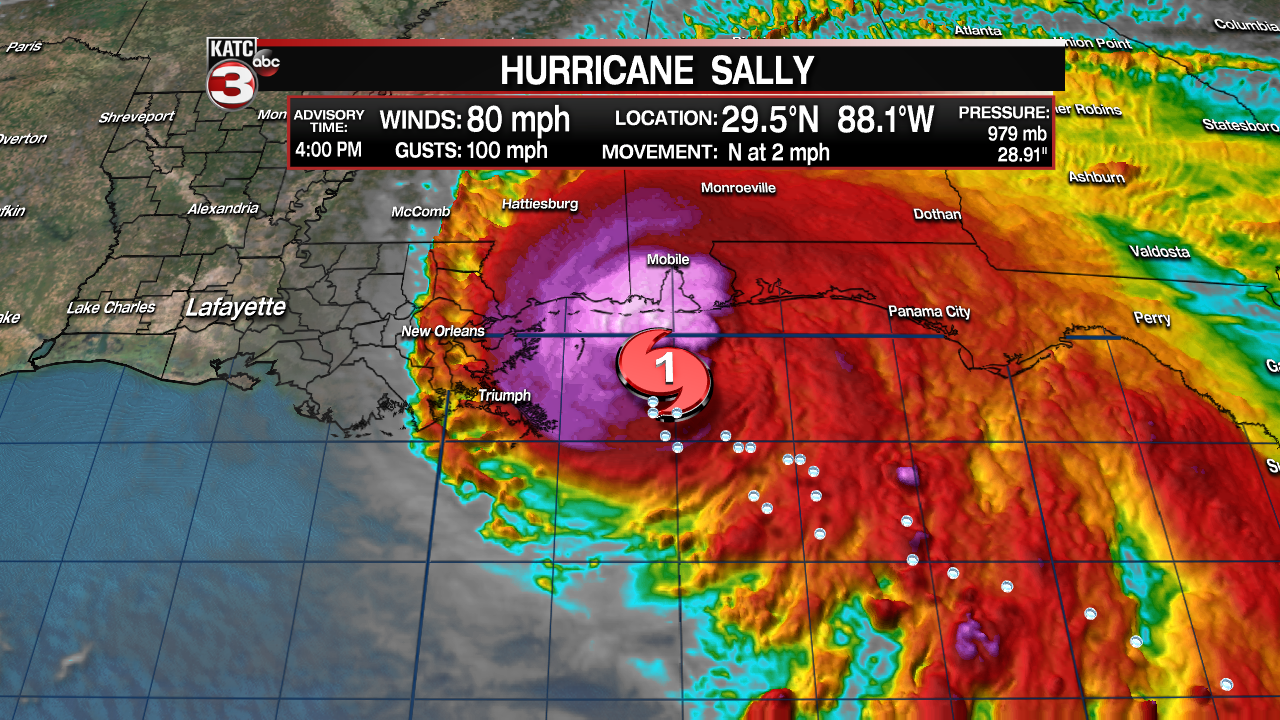 Sally 1.png
