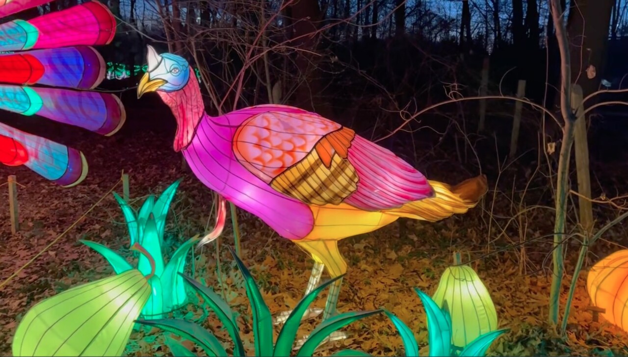 Lantern Festival 2025 Turkey